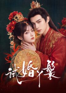 مشاهدة مسلسل خادمة المحاكمة The Trial Handmaiden الحلقة 8 مترجمة