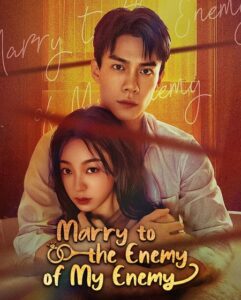 مشاهدة مسلسل Marry to the Enemy of My Enemy الحلقة 17 مترجمة