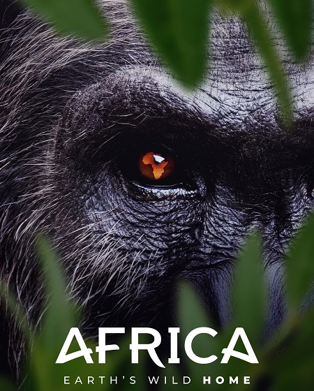 مشاهدة مسلسل Africa Earth’s Wild Home الحلقة 7 مترجمة