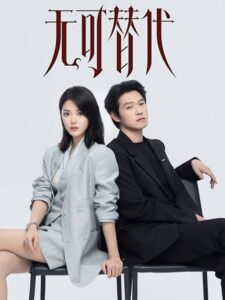 مشاهدة مسلسل Irreplaceable الحلقة 13 مترجمة